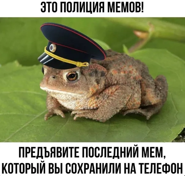 Xem ngay meme ếch sáng tạo mới nhất đang hot tràn Facebook