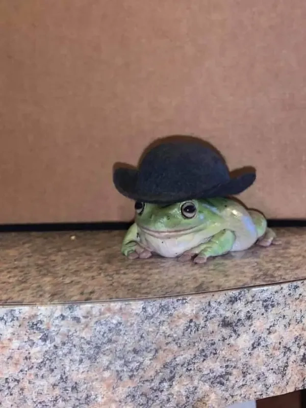 Cảm nhận meme ếch sáng tạo buồn nhưng cực lôi cuốn