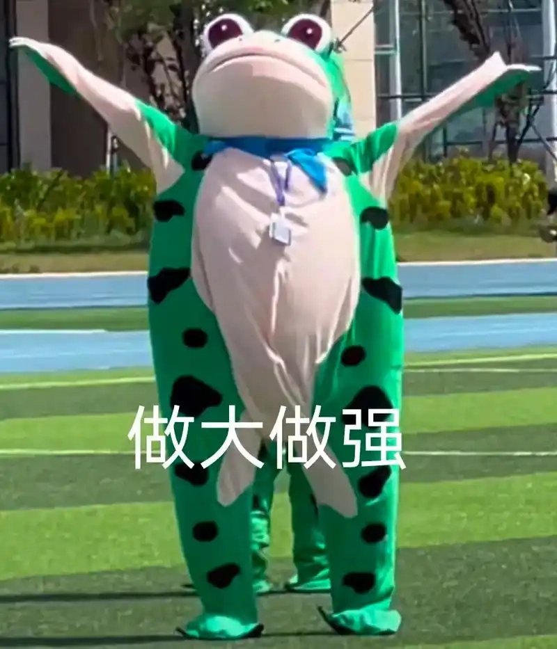 Tải sticker meme ếch sáng tạo dùng chat siêu dễ thương