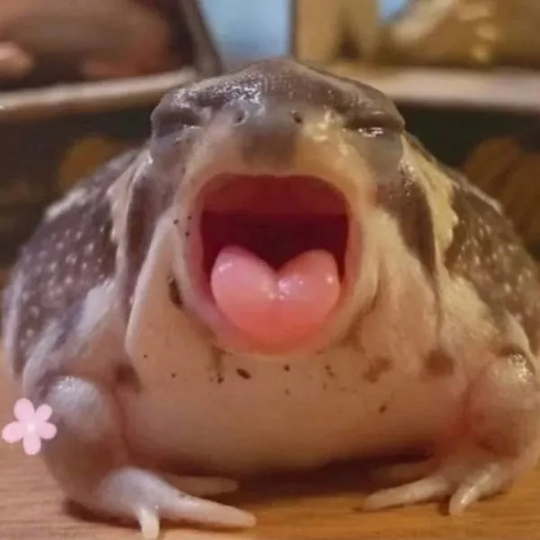 Cùng meme ếch tâm trạng áp lực giảm stress tức thì