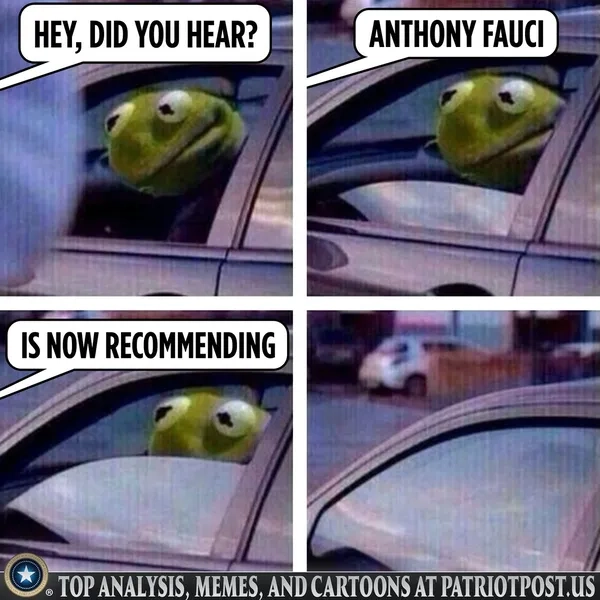 Meme ếch tâm trạng phân vân như đang lạc lối