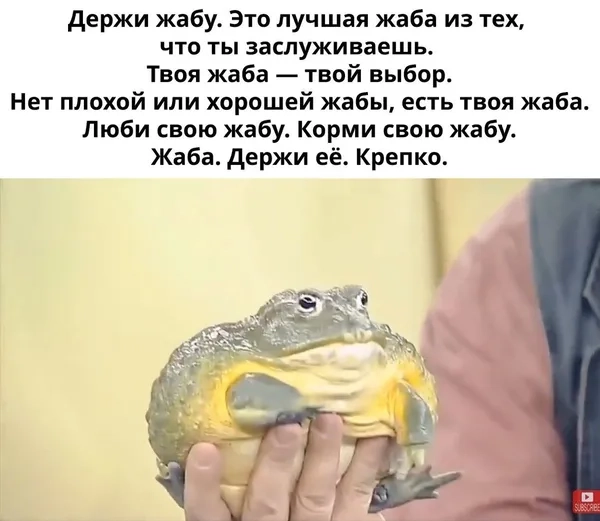 Cảm nhận meme ếch trend buồn đầy tâm trạng