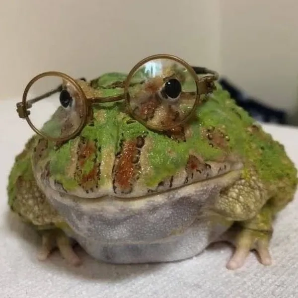 Ngậm ngùi cùng meme ếch trend meme buồn