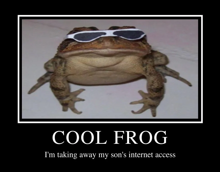 Bắt kịp xu hướng meme ếch vui nhộn trend