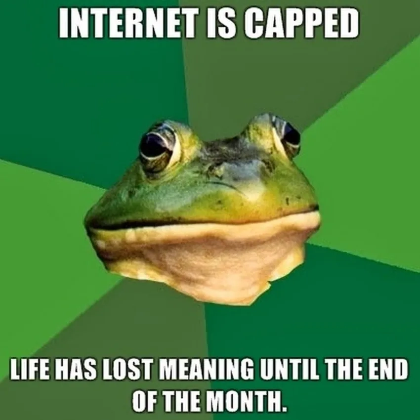 Hot trend không thể bỏ qua meme ếch vui nhộn hot