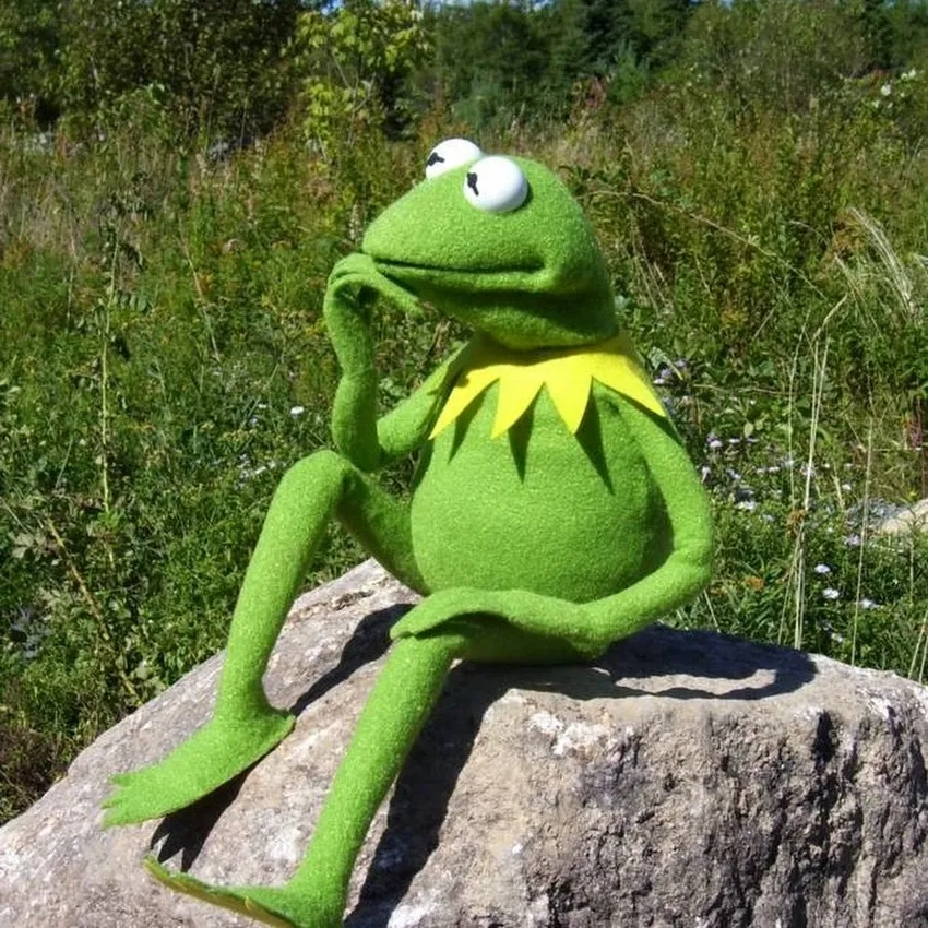Độc đáo và mới lạ meme ếch vui nhộn độc đáo