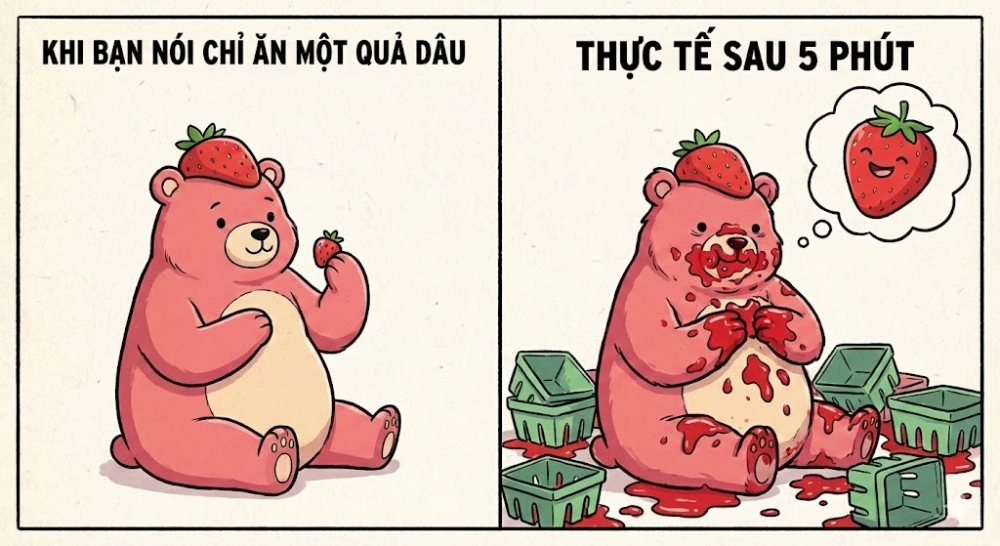 Lưu lại để giải trí với hình ảnh meme gấu dâu