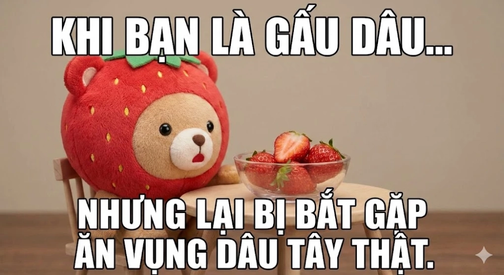 Thỏa sức cười với bộ meme gấu dâu