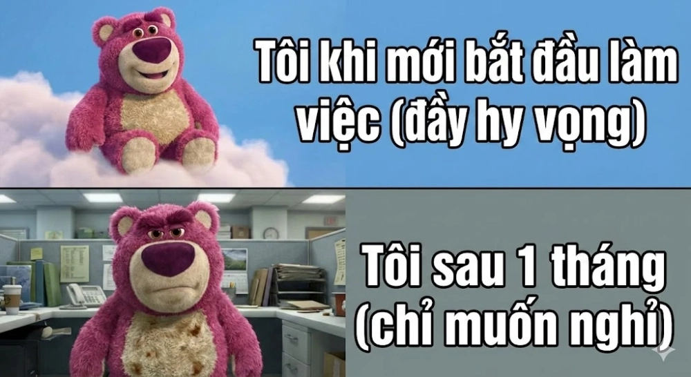 Bựa cực mạnh cùng meme gấu dâu bựa