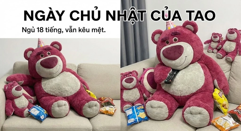Cười thả ga với meme gấu dâu cười