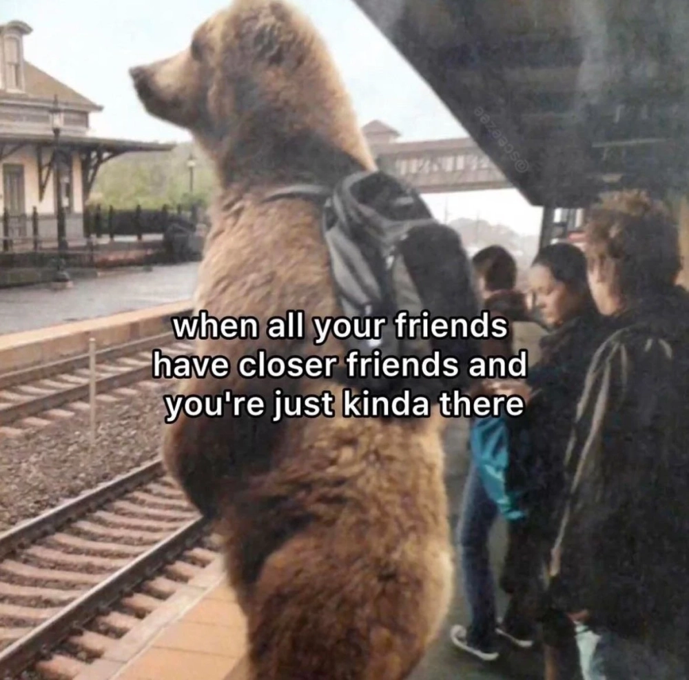 Dán sticker cực đáng yêu với sticker gấu nâu meme