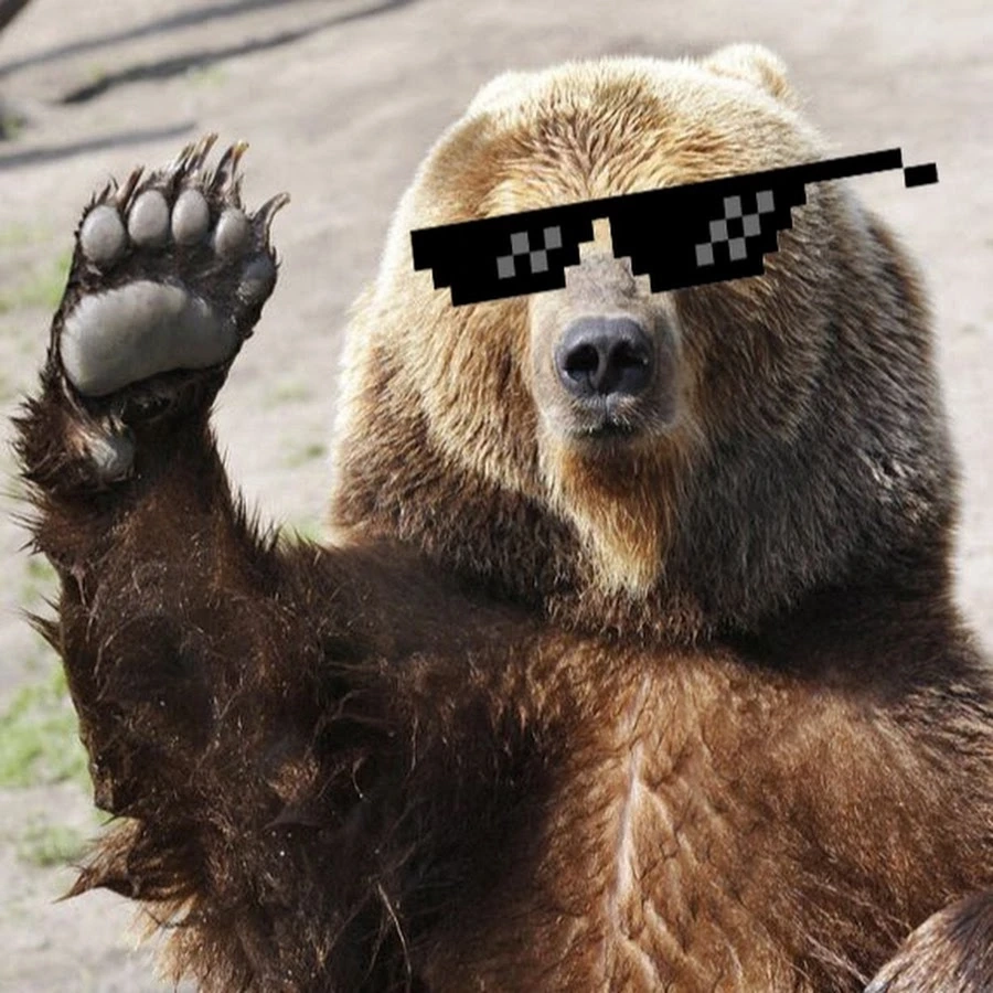 Giải trí mọi lúc cùng meme gấu nâu siêu đáng yêu