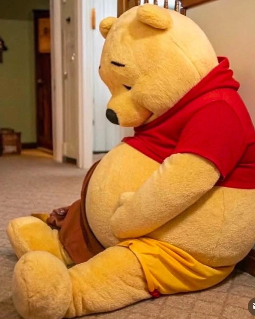 Meme gấu pooh là gì?