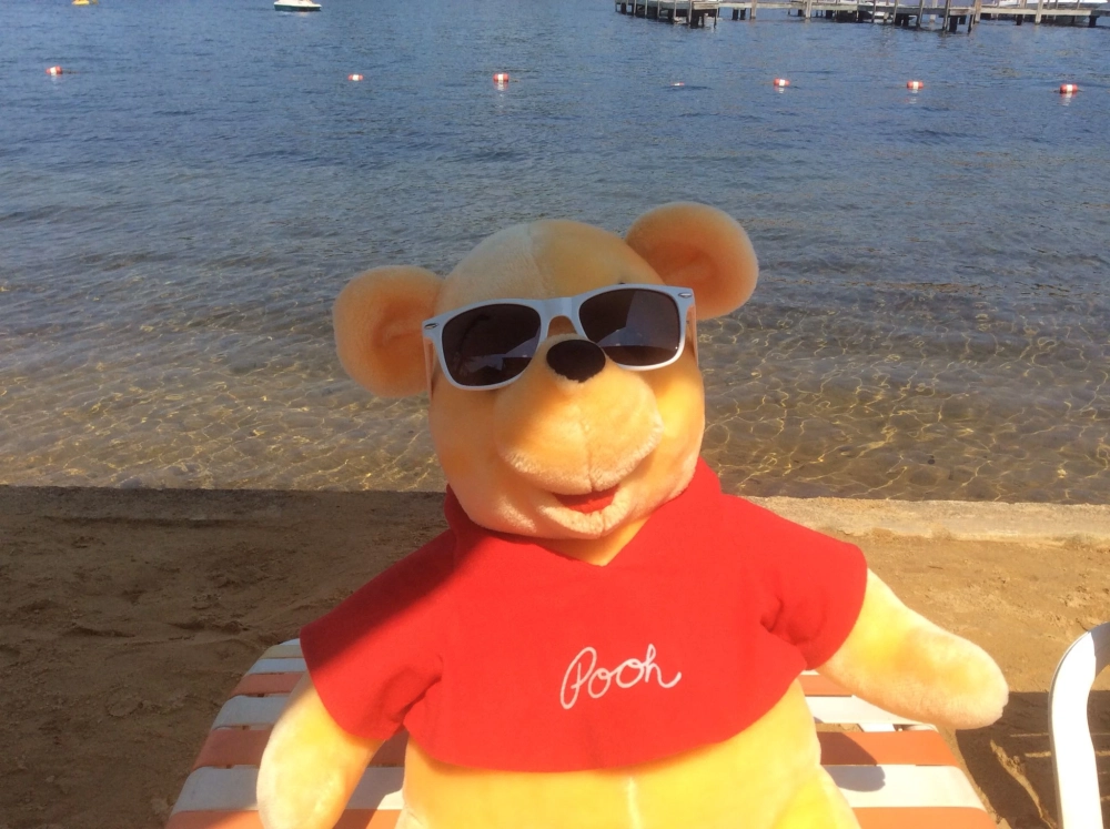Xem ngay hình gấu pooh meme đáng yêu