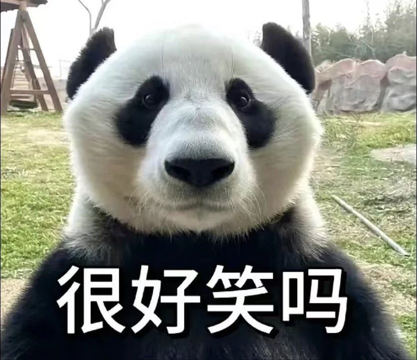 Xu hướng Trung Quốc với meme gấu trúc trung quốc