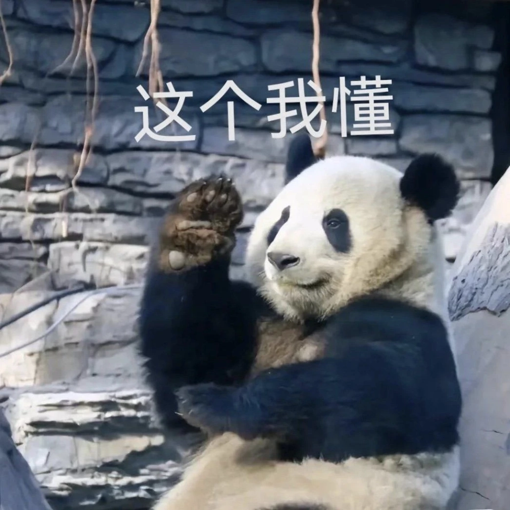 Phiên bản Weibo vui nhộn với meme gấu trúc weibo