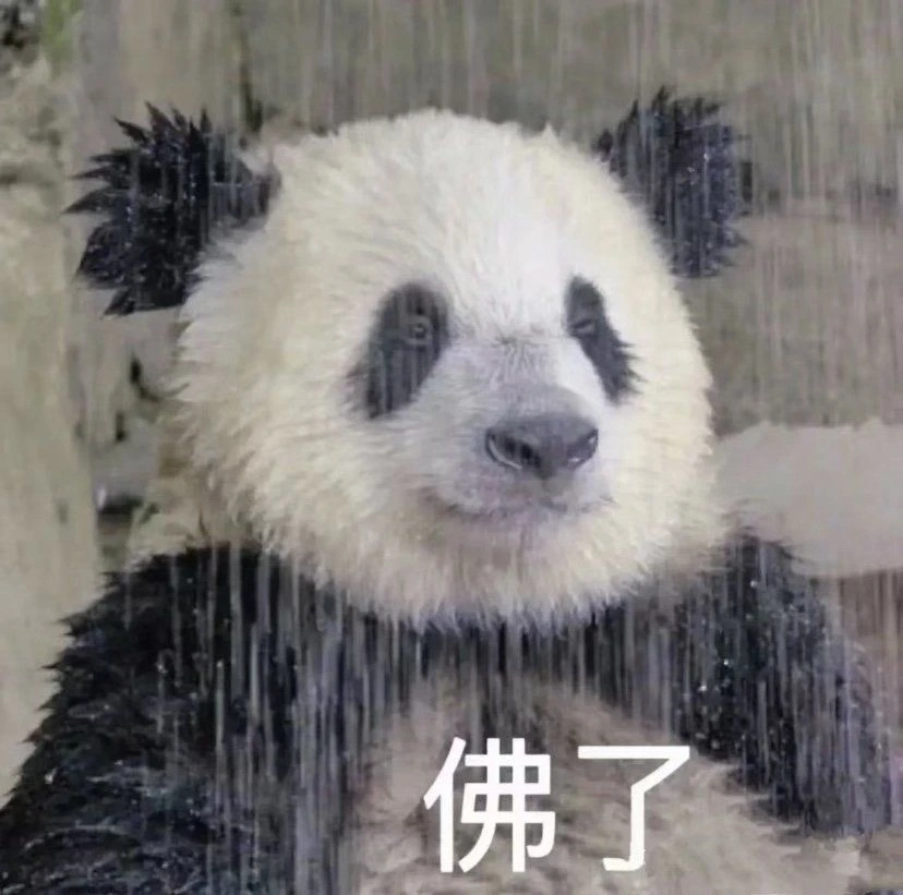 Thêm phong nền vui nhộn với background gấu trúc meme