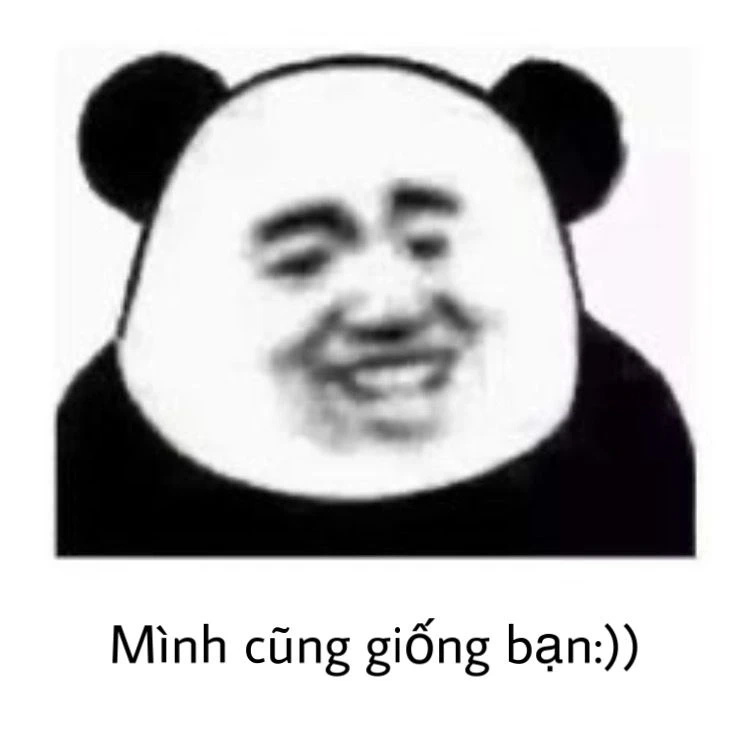 Khi bạn vừa nghe tin vui với meme gấu trúc cười