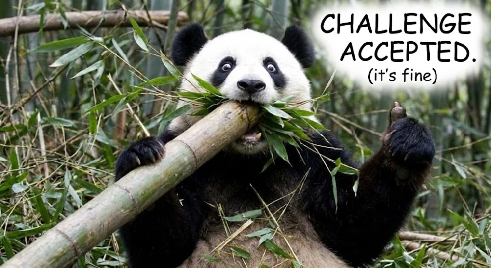 Thể hiện sự đồng ý vui nhộn với meme gấu trúc ok bro