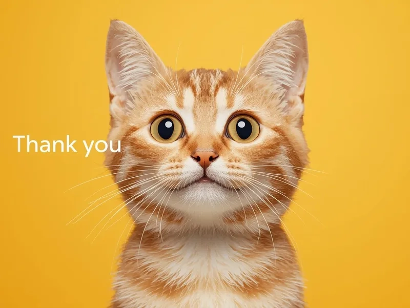Ai cũng thích ảnh mèo cảm ơn siêu cute