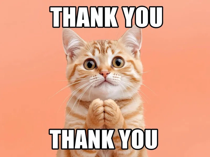 Biểu cảm hài hước của meme mèo cảm ơn hài hước
