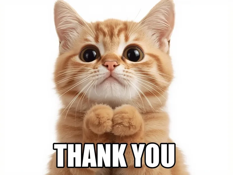 Meme mèo cảm ơn là gì khiến dân mạng thích
