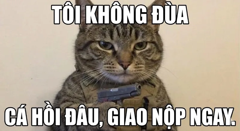Ai cũng mê meme mèo bựa cầm súng cực bá đạo