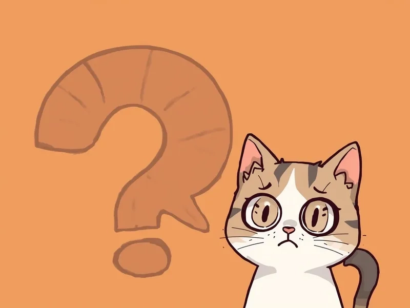 Xem ngay meme con mèo hỏi chấm cực đáng yêu