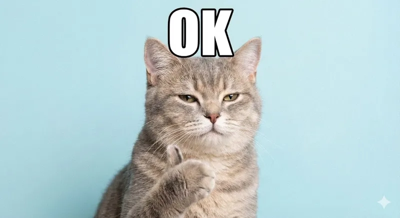 Ai cũng duyệt với meme mèo duyệt siêu cute