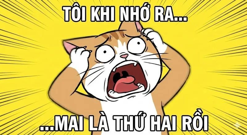 Ai cũng cười với meme ôm đầu cực hài