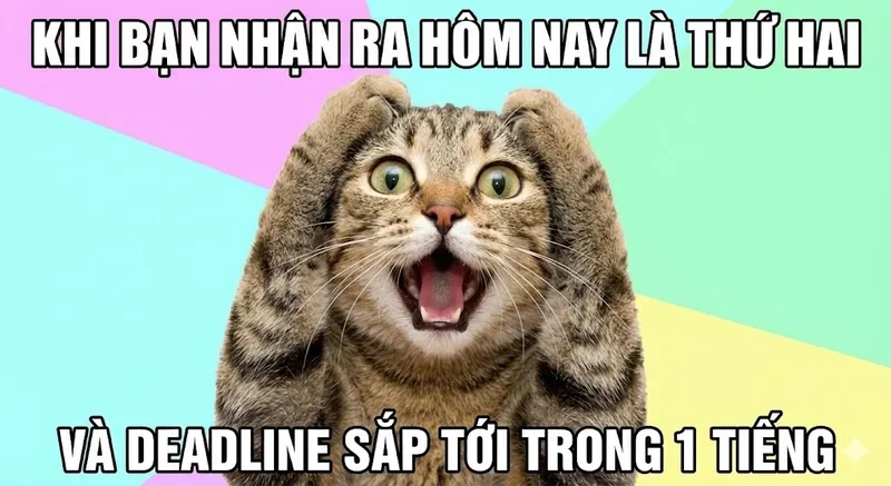 Không thể bỏ qua meme con mèo ôm đầu đáng yêu