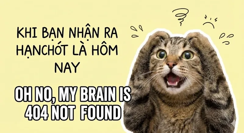 Giải trí vui nhộn với meme mèo ôm đầu hài hước