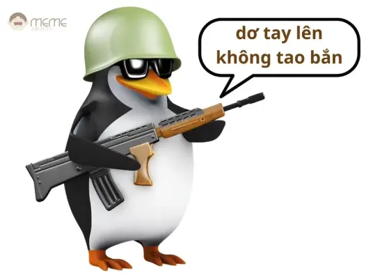 Bộ ảnh meme chim cánh cụt ngộ nghĩnh không thể bỏ lỡ