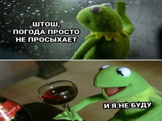 Những ảnh meme ếch vui nhộn tạo trend mạng xã hội