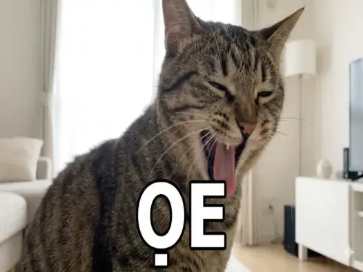 Bộ sưu tập meme mèo oẹ khiến ai xem cũng bật cười